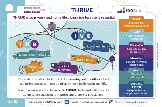 81Brix THRIVE v3