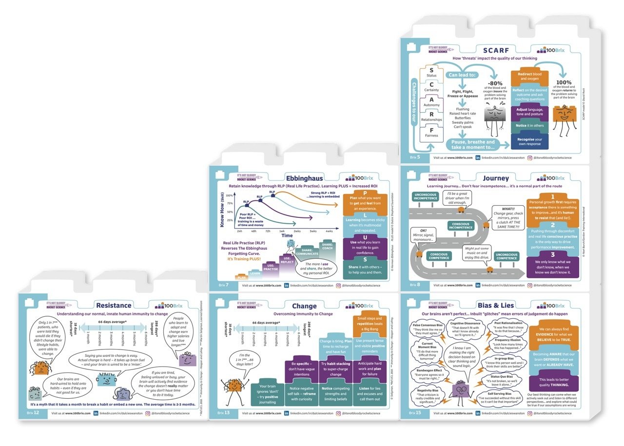 BrixSix Leadership Through Change-jpeg